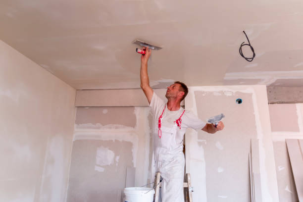 Dry wall and painting